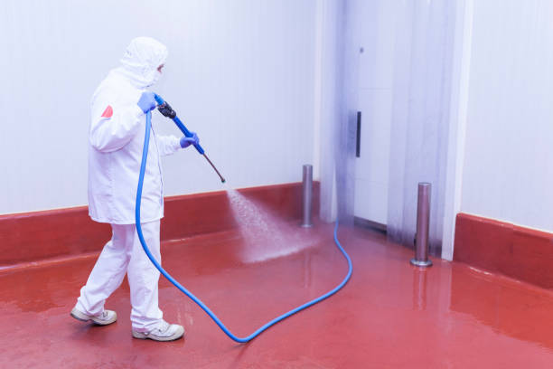 Best Building Exterior Washing  in Plymouth Meeting, PA